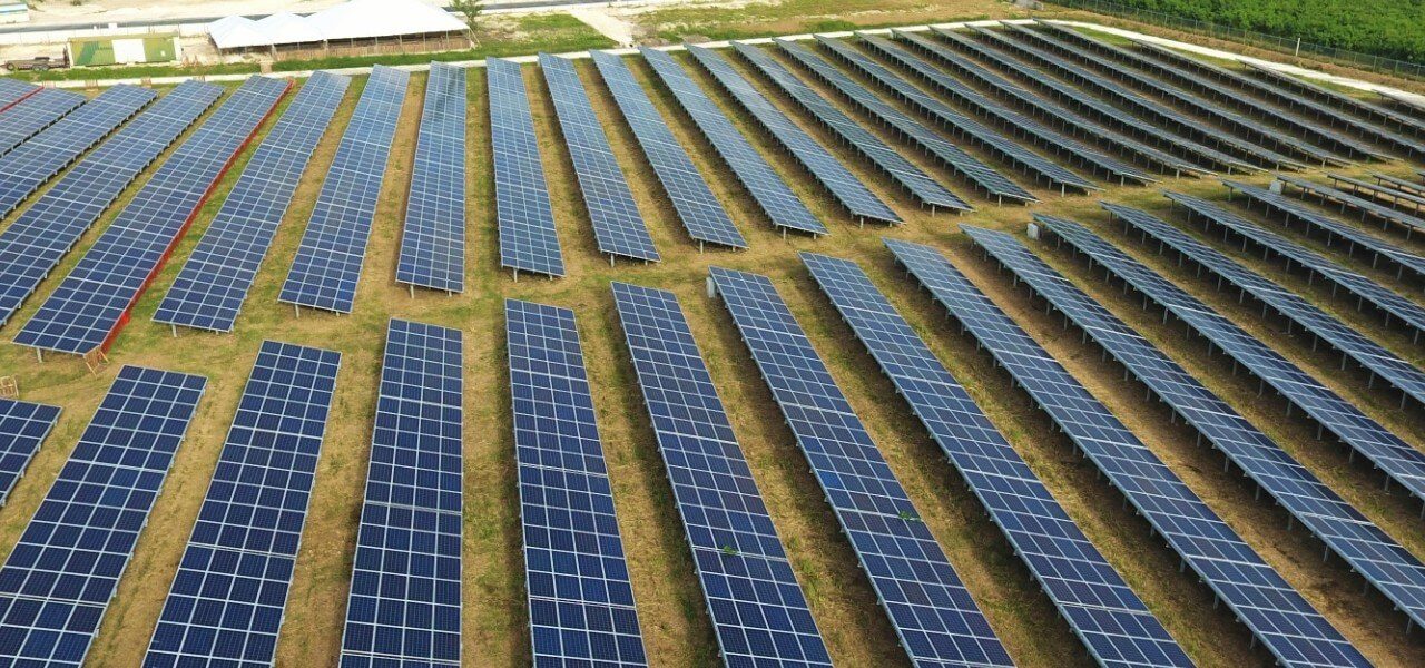 What Companies Should Know About Going Solar