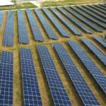 What Companies Should Know About Going Solar